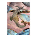 horse of the sea posters by HAJenkins horse of the sea posters