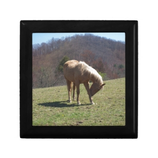 Horse on HIll
