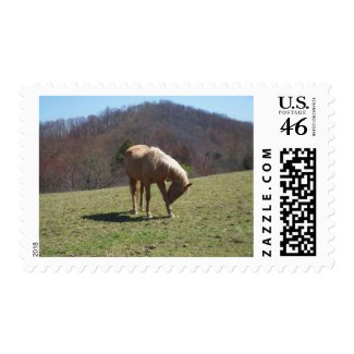 Horse on Hill Postage