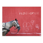 Horse on Red Background Postcard