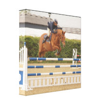 Horse Over Fence Canvas Print