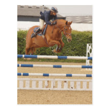 Horse Over Fence Postcard