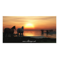 Horse Overlook Photo Card