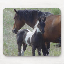 Horse - Paint Horse mousepads