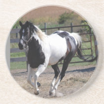 Horse/Paint Pinto Coasters