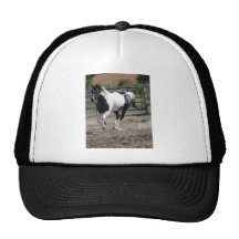 Horse/Paint Pinto Mesh Hat