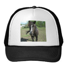 Horse Paint Trucker Hat