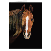 Horse painting card