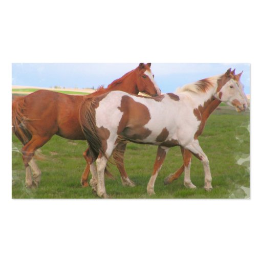Horse Pair Business Card  (back side)