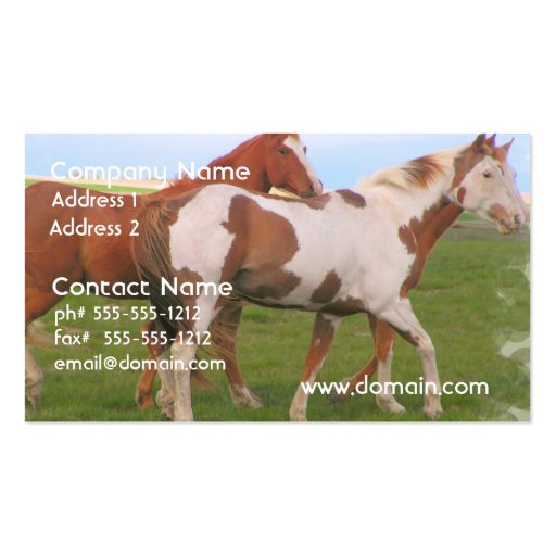 Horse Pair Business Card  (front side)