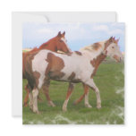 Horse Pair Invitations