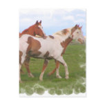 Horse Pair Postcard