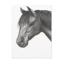 HORSE: PENCIL ART: REALISM postcards