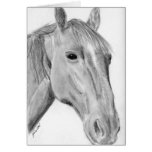 Horse pencil drawing card