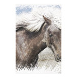 Horse,pencil Stationery Paper