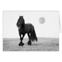 Horse perfect greeting card
