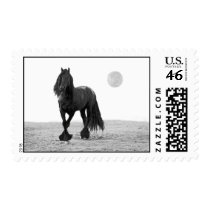 Horse perfect postage