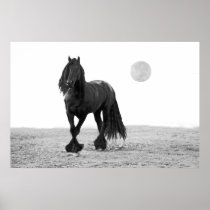 Horse perfect posters