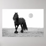 Horse perfect posters