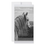 horse customized photo card