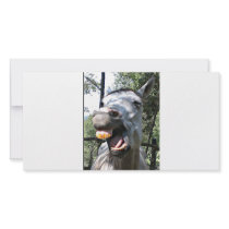 Horse Photo Card