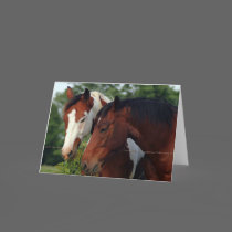 Horse Photograph