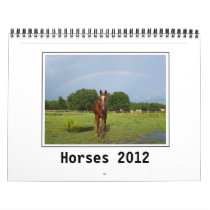 Horse Photography Calendar 2012