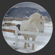 Horse Plate plates