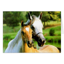 Horse Play cards