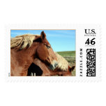 Horse Port