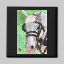 Horse Portrait Magnet