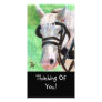 Horse Portrait Photo Card