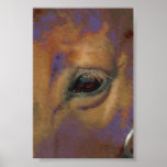 Horse Portrait Print