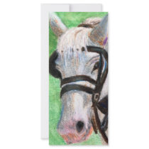 Horse Portrait rack cards