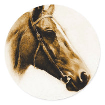 Horse Portrait stickers