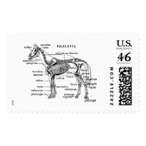 Horse postage by engravings Horse postage