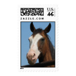 Horse Stamp