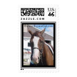 Horse Postage