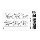 postcard - animals animal horse horses sport competition
