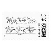 Horse postage by engravings Horse postage