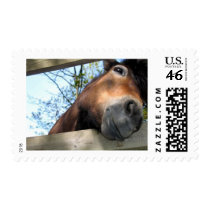Horse postage