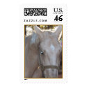 Horse postage by tauheedah Horse postage