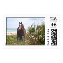Horse Postage Beach