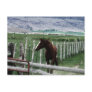 Horse Postcards