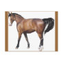 Horse Postcards