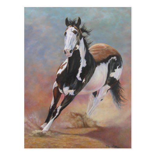 horse postcard Zazzle
