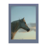 Horse Postcard, Customizable 6