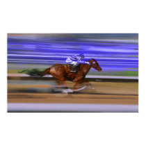 HORSE posters by marcelo95 HORSE posters