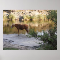 horse posters