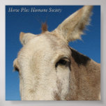 Horse Poster posters